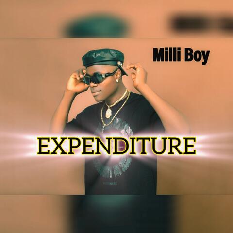 Expenditure