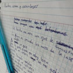 Alondras, Arañas Y Escarabajos
