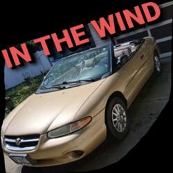In The Wind