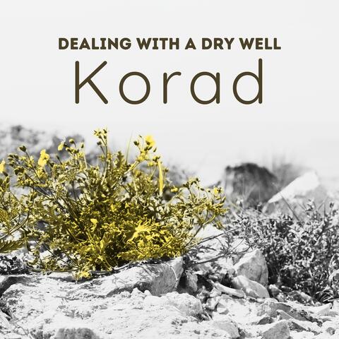 Dealing with a dry well