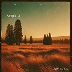 Sequoia
