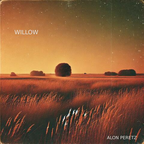 Willow