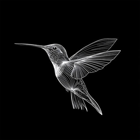 colibri.