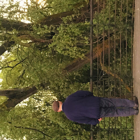 igor(una señal)