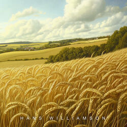 Endless Fields