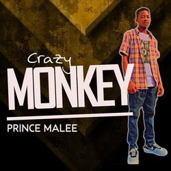 crazy monkey