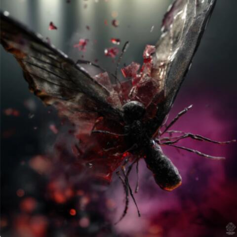 Dead Butterfly