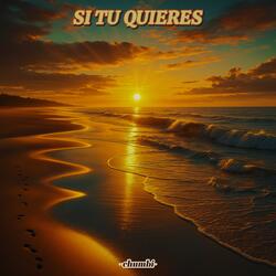 SI TU QUIERES