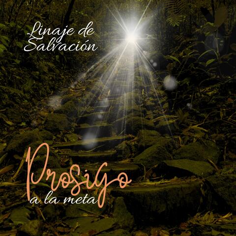 Prosigo a la meta