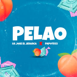 Pelao