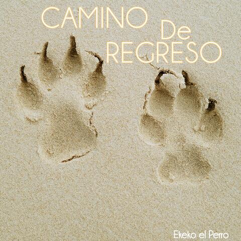 Camino de regreso