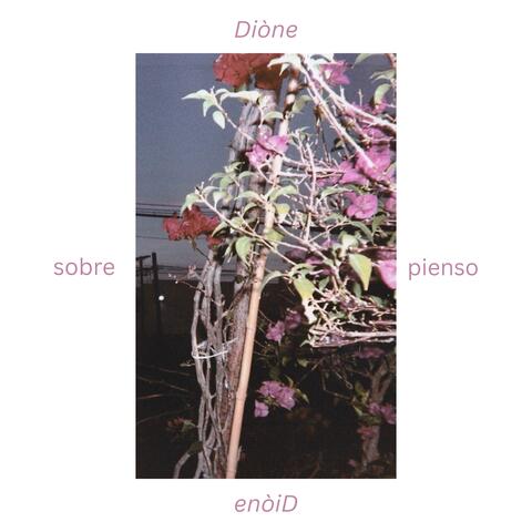 sobrepienso