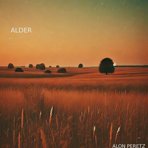 Alder
