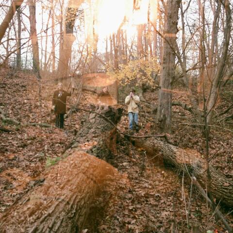 New Regional Dialects