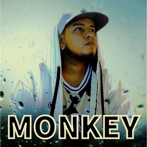 sin freno