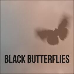 Black Butterflies