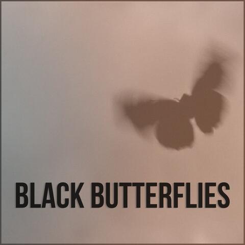 Black Butterflies