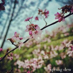 spring dew