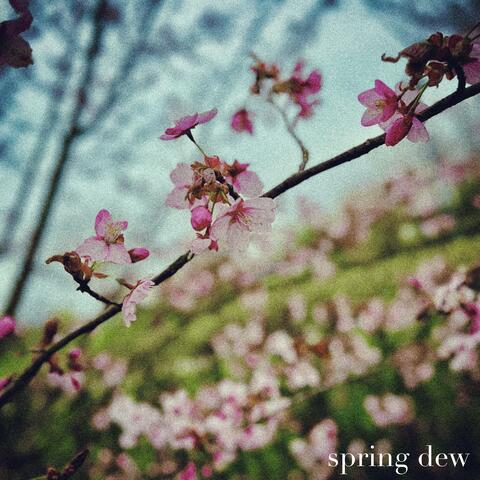 spring dew
