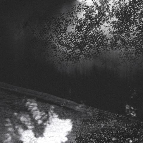 Liquid Moon