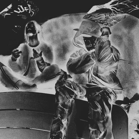 DIFFERENT BREEDS: PILOT