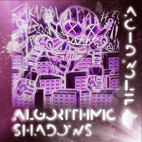 Algorithmic Shadows