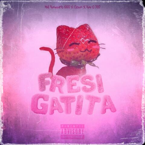Fresi Gatita