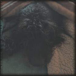 Surface (a song from 2019)