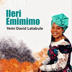 Ileri Emimimo