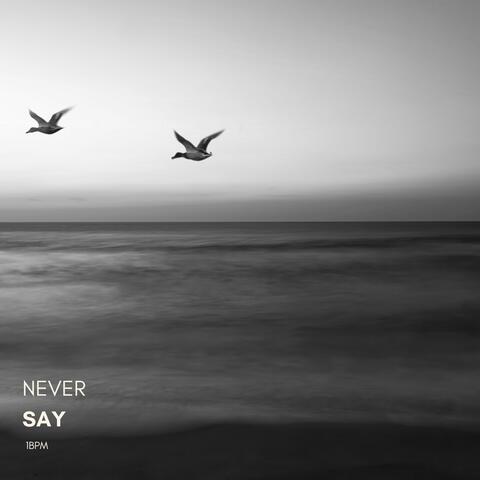 Never Say