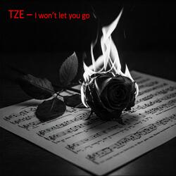 I won't let you go
