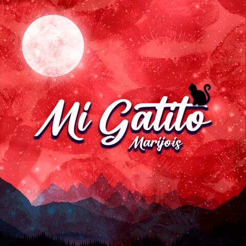 Mi gatito