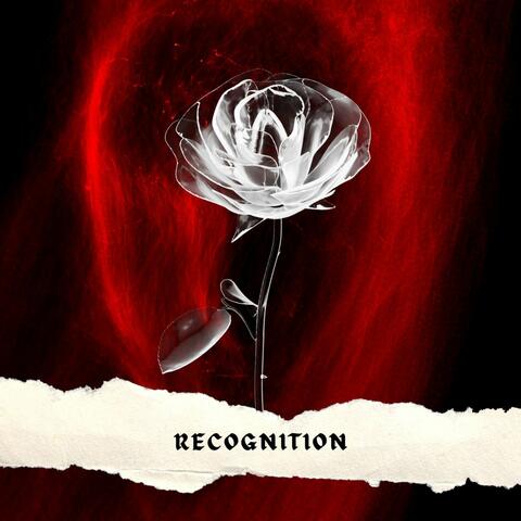 RECOGNITION