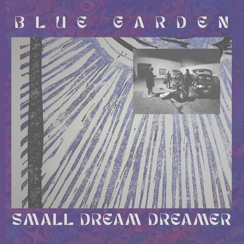 Small Dream Dreamer