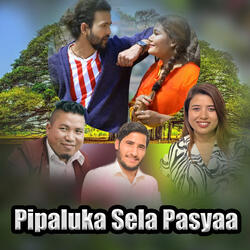 Pipaluka Sela Pasyaa