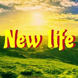 New life