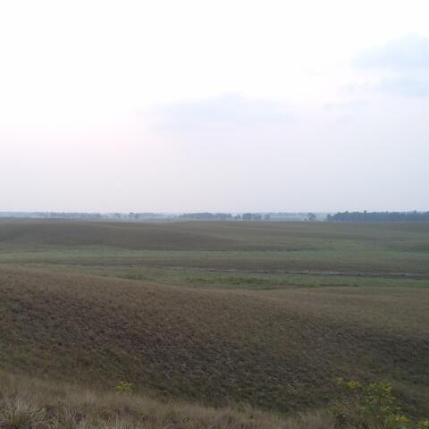 Mis canciones sesion 1