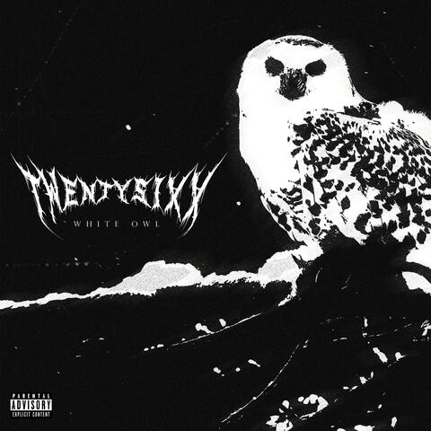 WHITE OWL