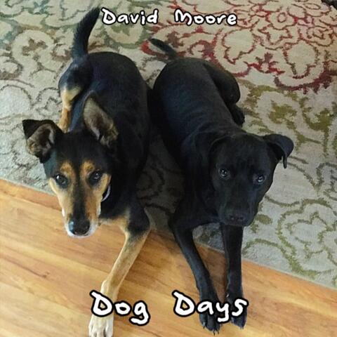 Dog Days