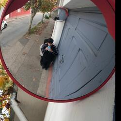 No perdamos el tiempo