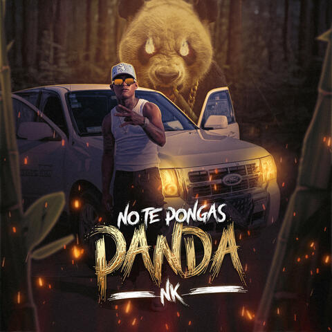 Note pongas panda