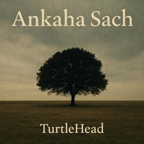 Ankaha Sach
