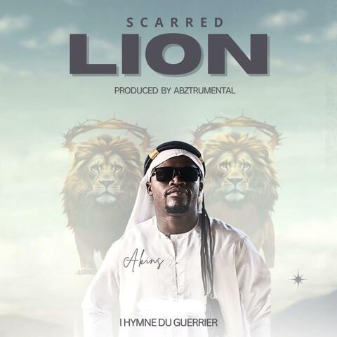 Scarred Lion