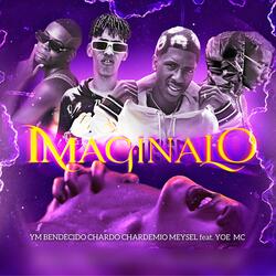 IMAGINALO