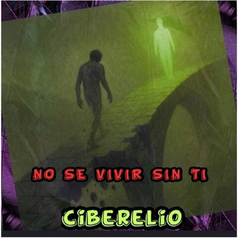 No se vivir sin ti