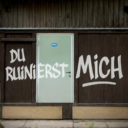 Du Ruinierst Mich