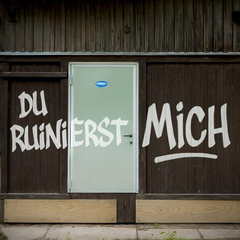 Du Ruinierst Mich