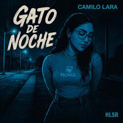 Gato de noche