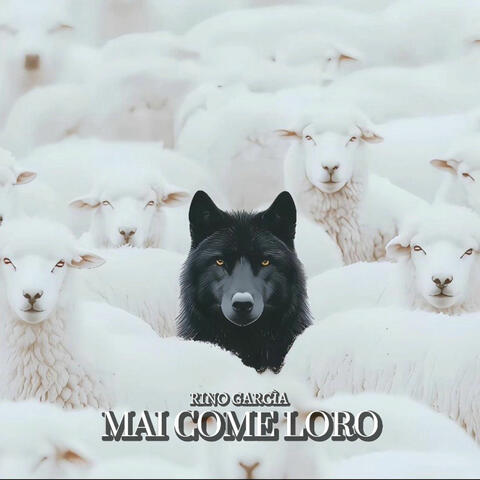MAI COME LORO