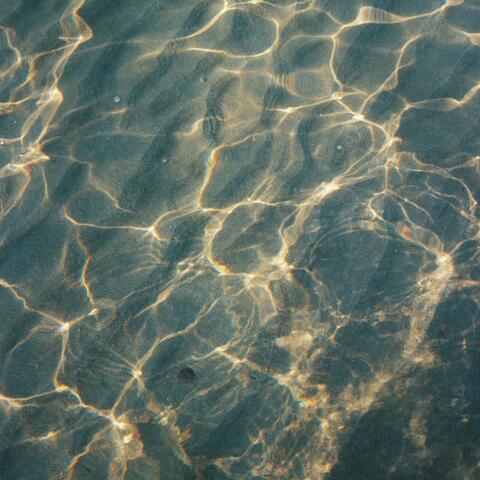 beautiful summer